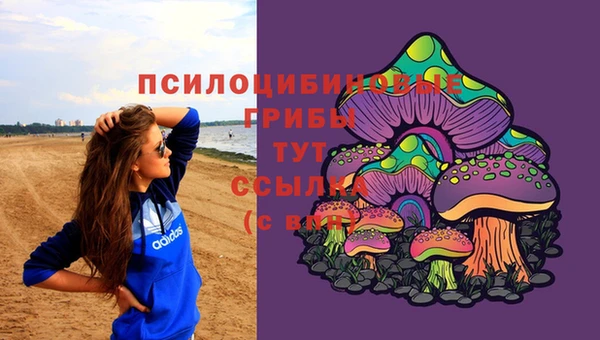 трава Балахна