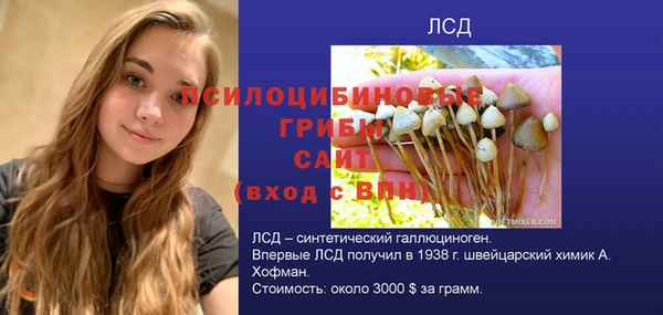 трава Балахна