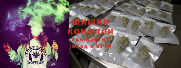трава Балахна