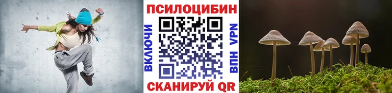Псилоцибиновые грибы Psilocybe  гидра онион  Ряжск 